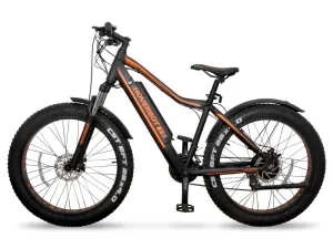 6392elektrofetbayk-hoverbot-fb-2-fatbike-foto-1-1000x750 (1)
