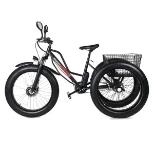 Электровелосипед Трицикл Jetson F26 BIZON (48V12Ah) - интернет-магазин надежной и качественной электроники UralElectronica г. Екатеринбург