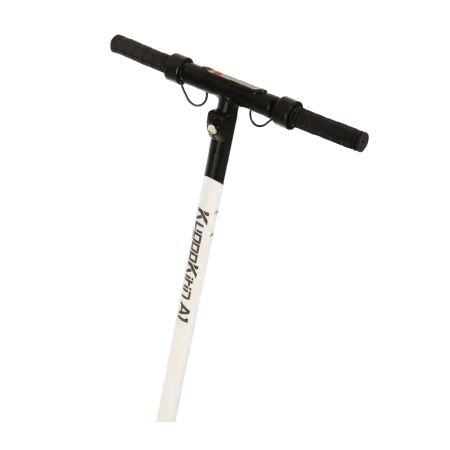 a5