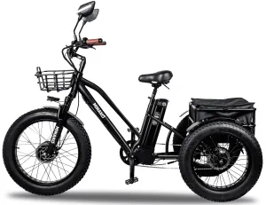 Minako Trike (2) 2