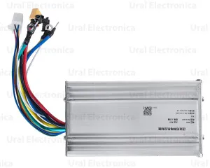 DSC_6531