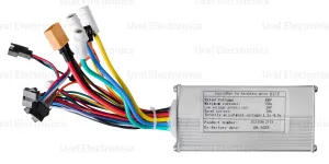 DSC_1353 (1)