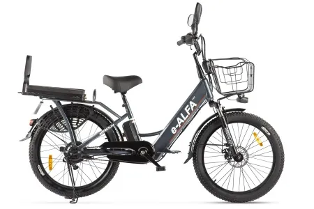e-ALFA_FAT_gray