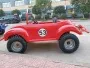 GreenCamel Жук синяя