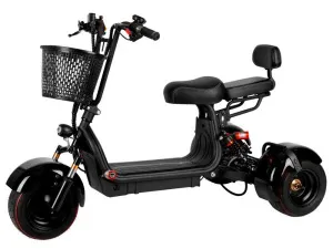 897439980_elektromototsikl-citycoco-gt-600x450