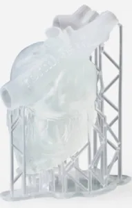 ffda9d1e02df8e82dedcfd7942c52cc9