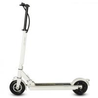 516c4fba8ade8be7a9c7f376d411c795