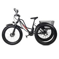 Электровелосипед Трицикл Jetson F26 BIZON (48V12Ah) - интернет-магазин надежной и качественной электроники UralElectronica г. Екатеринбург