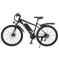 Электровелосипед Jetson TRIUMPH - интернет-магазин надежной и качественной электроники UralElectronica г. Екатеринбург