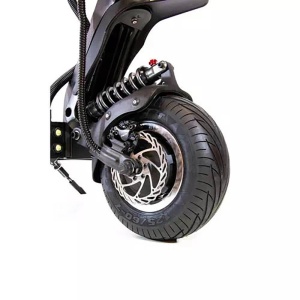 dualtron_x_2_5_1000_0x0_d15