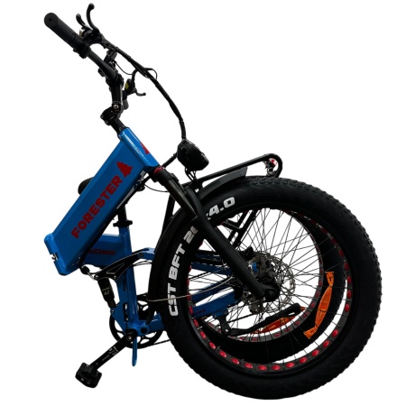 2024-09-13 00.30.01 (1)