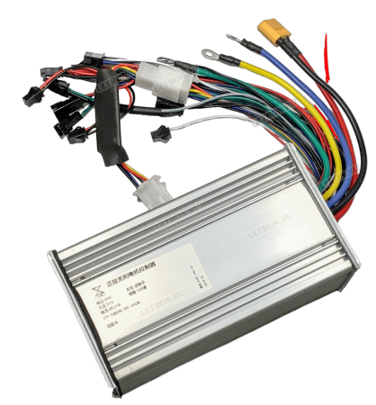 IMG_1750-966x1024 (1)