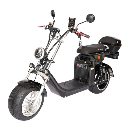 Электроскутер Skyboard Altai 4000W (АКБ 60V40Ah) - интернет-магазин надежной и качественной электроники UralElectronica г. Екатеринбург