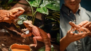 1d5179162b4fad003e71a6f12ef54b98