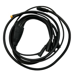 PhotoRoom_20221107_224237