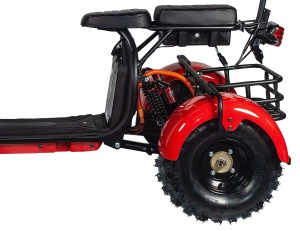 Rex красный (4)