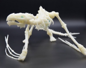 c8d936f11affc892ae8e2875188ad000