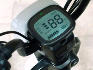 857982419_w640_h640_857982419