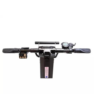 dualtron_x_2_2_1000_0x0_d15